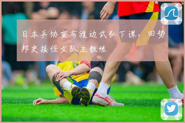 日本乒协宣布渡边武弘下课,田势邦史接任女队主教练